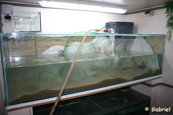 Mise en eau de l'aquarium de 1000 litres
